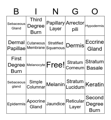 Integumentary System Bingo Card
