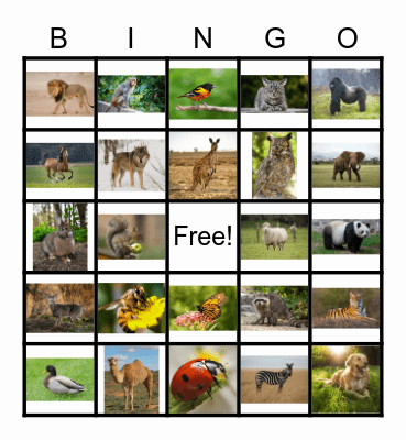 ANIMALS Bingo Card