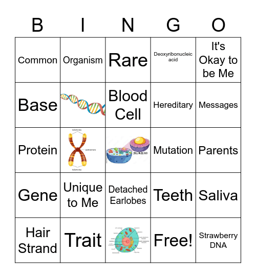 DNA BINGO Card