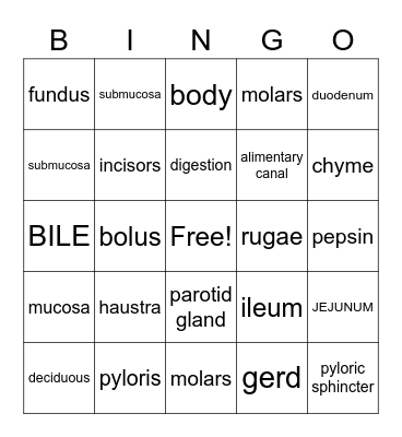 DIGESTIVE SYSTEM Bingo Card