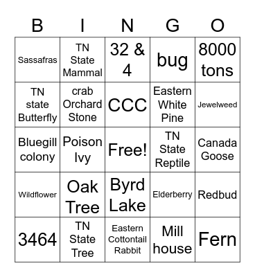 Nature Bingo Card