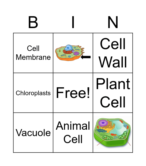 Scientific Process and Cells Unit Vocab! Bingo Card