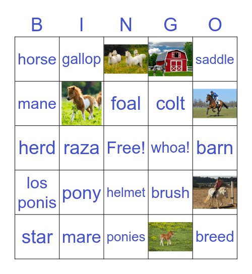 Los Ponis Bingo Card