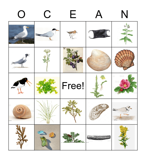 Rockaway BINGO Card