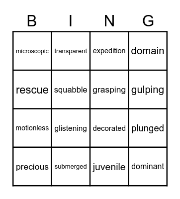 Vocabulary Bingo Card