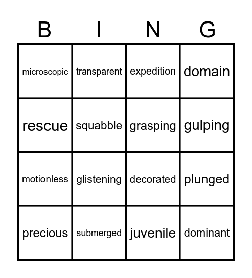 Vocabulary Bingo Card