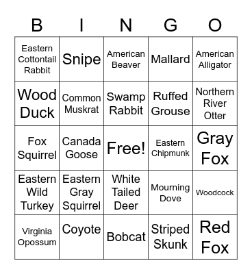 GEORIGA WILDLIFE Bingo Card