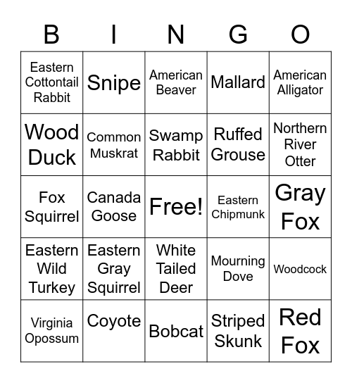 GEORIGA WILDLIFE Bingo Card