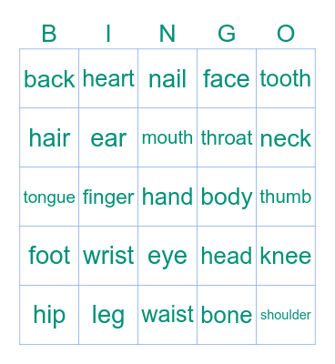 Body Parts Bingo Card