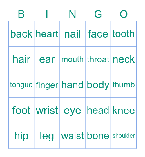 Body Parts Bingo Card