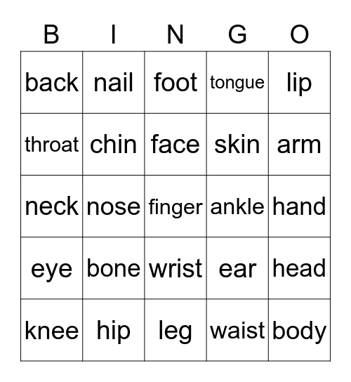 Bodies Bingo Card