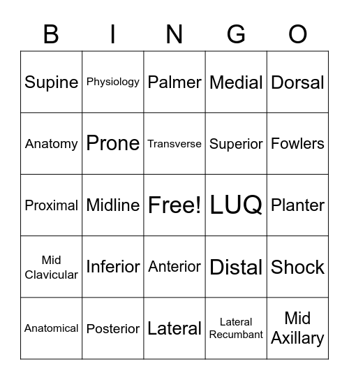 Terms  Directions Bingo Card