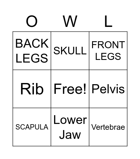 Owl Pellet Bingo Card