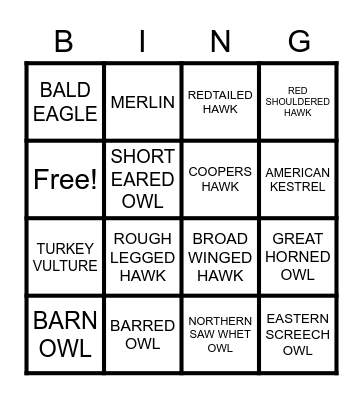 RAPTOR CALL BINGO Card