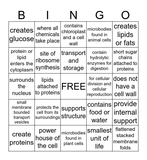 Cellular Organelles Bingo Card