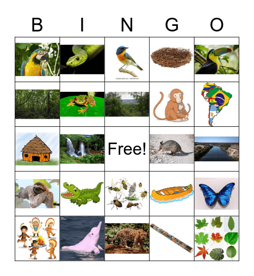 Rainforest Bingo Card