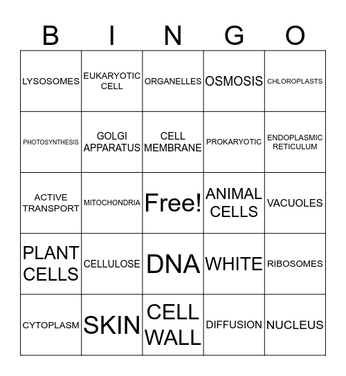 CELLS Bingo Card