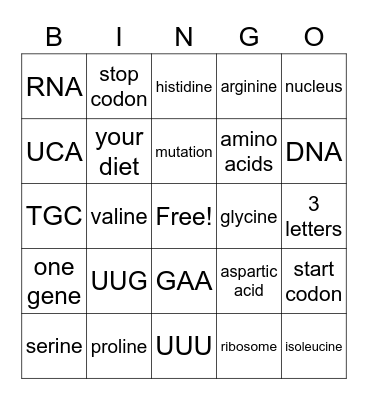 Transcription and Translation Bingo Card