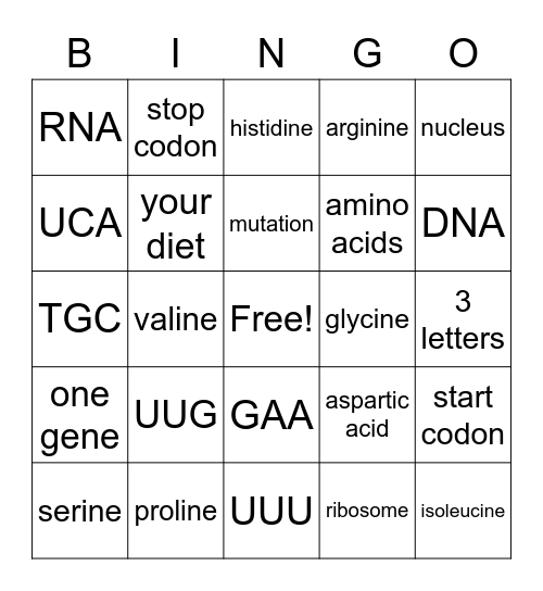 Transcription and Translation Bingo Card