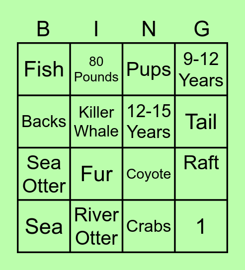 Sea and River Otter Bingo Card