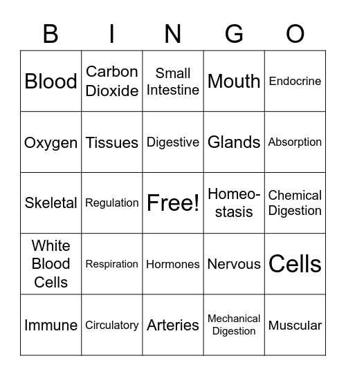 Human Body Bingo Card