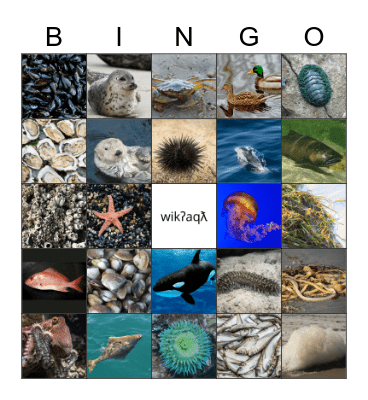 From the Ocean Bingo Card