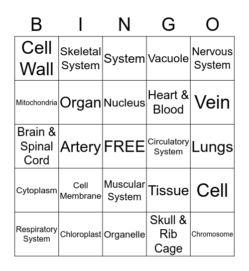 Cells to Body Systems Bingo Card