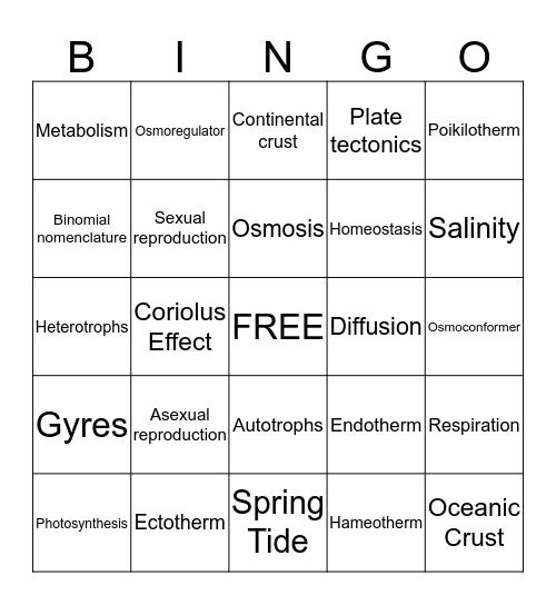 Mod 2 Bingo Card