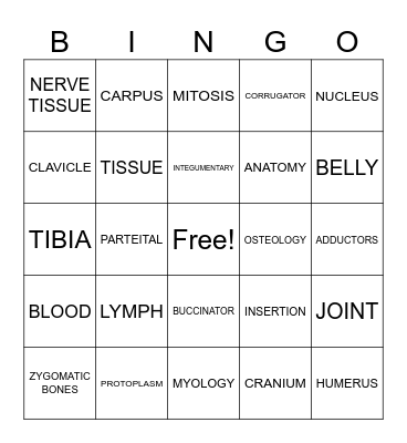 GENERAL ANATOMY AND PHYSIOLOGY Bingo Card