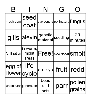 Science Chapter 2 Bingo Card