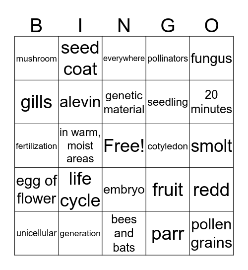 Science Chapter 2 Bingo Card