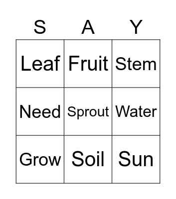 Life cycle of  a plant Bingo Card