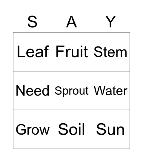 Life cycle of  a plant Bingo Card