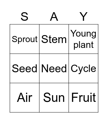 Life cycle of a plant Bingo Card