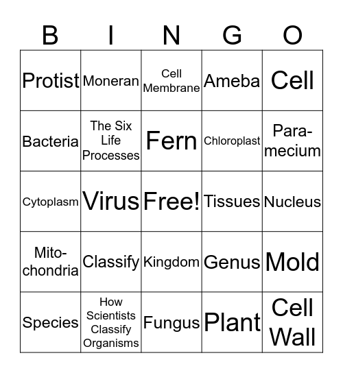 Chapter 1 Science Review Bingo Card