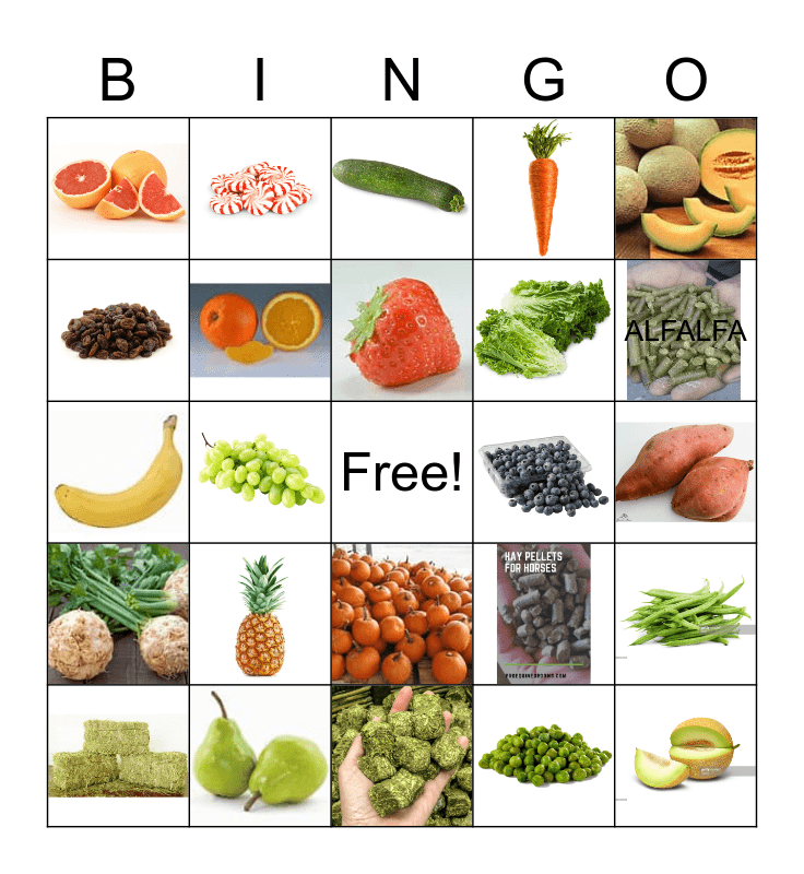 What Horses Can Eat Bingo Card