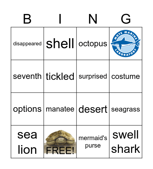 SEA Me Read: Alfie Bingo Card