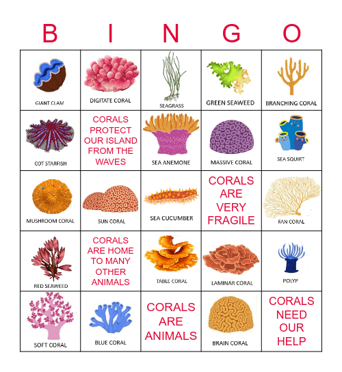 Coral Bingo Card