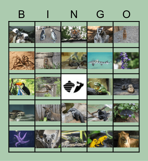 John Ball Zoo Bingo Card