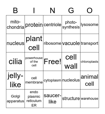 PLANT AND ANIMAL CELLS BINGO Card