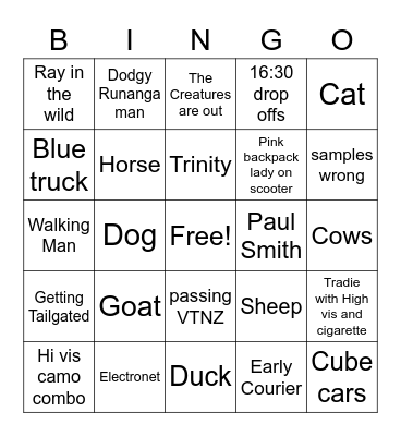 Greymouth Bingo Card
