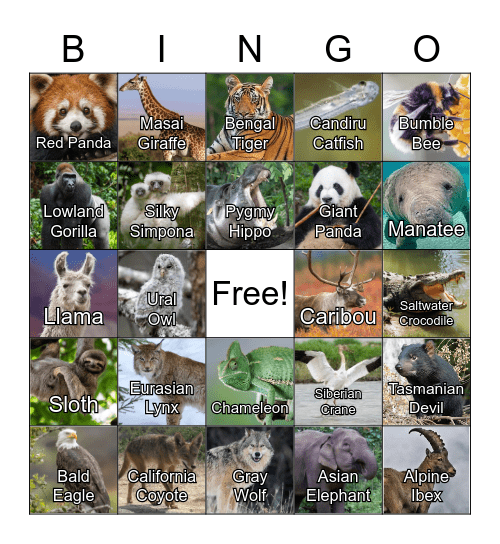 Untamed Animal Bingo Party Bingo Card