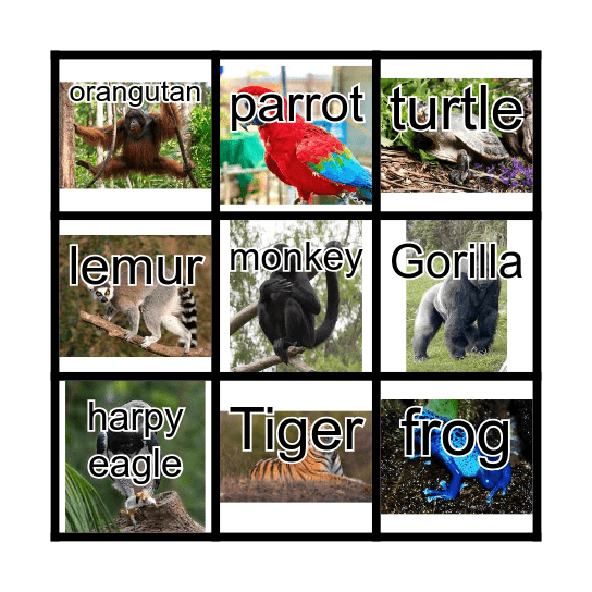 Tropical Rainforest Bingo Card