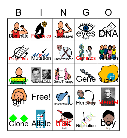 Genes and Heredity Bingo! Bingo Card