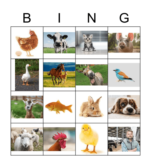 Boerderijdieren Bingo Card