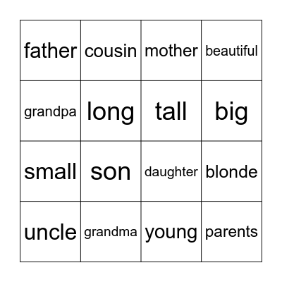 family and adjectives Bingo Card