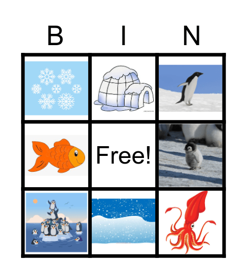 Antartic Bingo Card