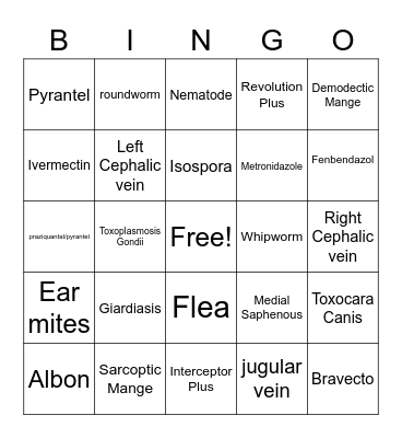 Canine and Feline Parasites Bingo Card