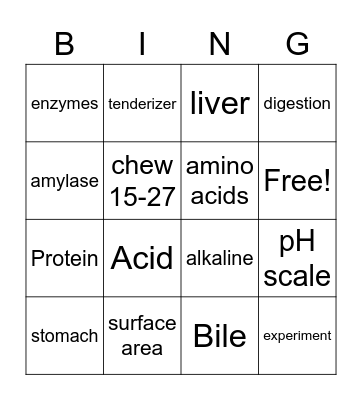 Digestive system Bingo Card