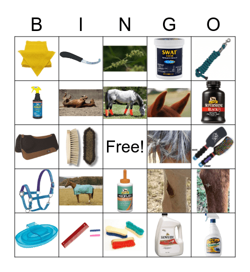 GROOMING WORKSHOP - BRONZE Bingo Card